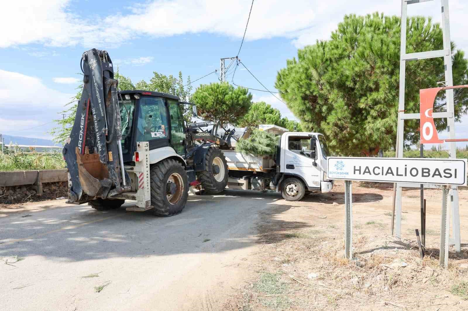 Hacıaliobası Mahallesi'nin Yeşil Alanları Yenilendi