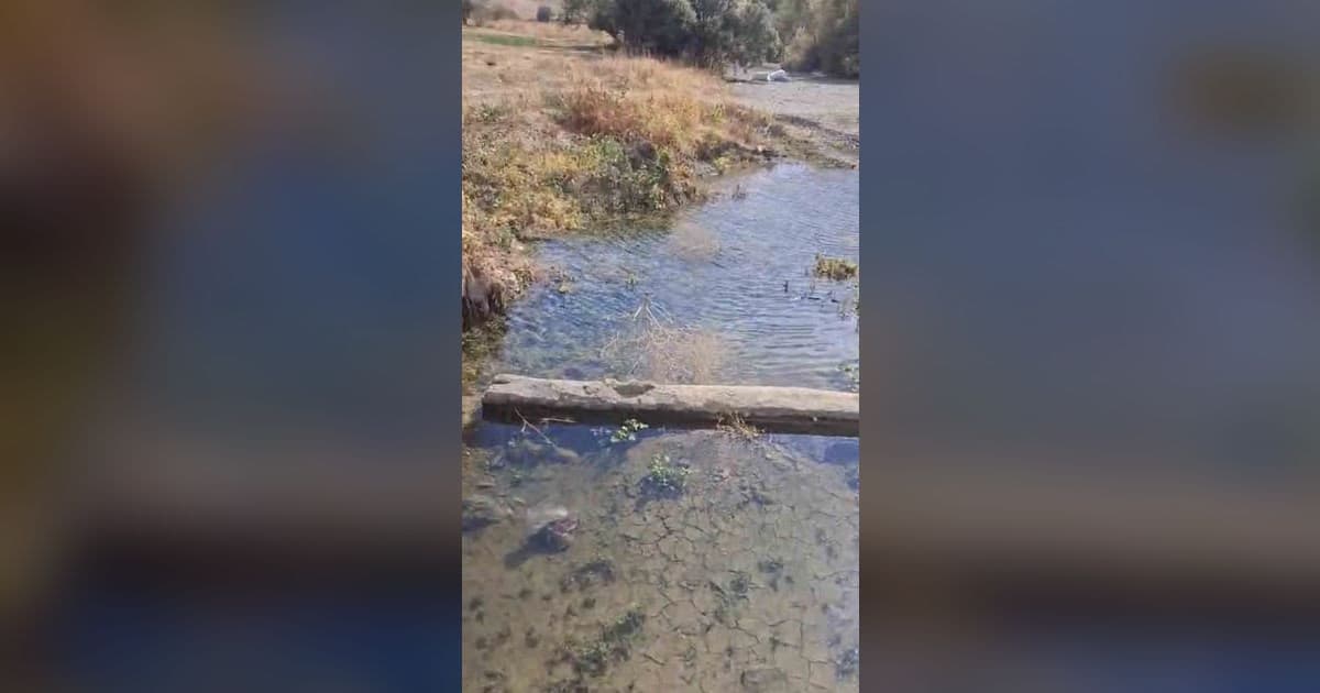 Yüksekova'da Kuruyan Sulak Alanlardaki Balıklar İçin Zamanla Yarış