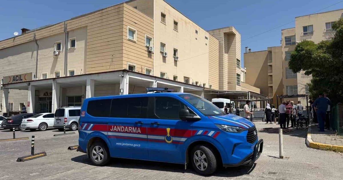 Siverek'te hayvan pazarında sopalı kavga: 1 yaralı