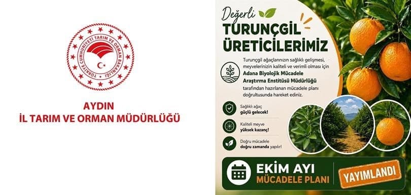 Aydınlı Turunçgil Üreticilerine Ekim Ayı Bakım ve Mücadele Uyarısı