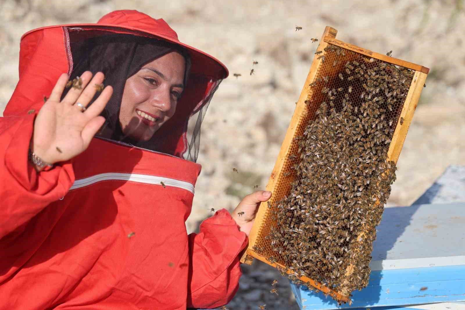 Üniversiteden Mezun Oldu, Baba Mesleği Arıcılıkla Bin Kovana Ulaştı