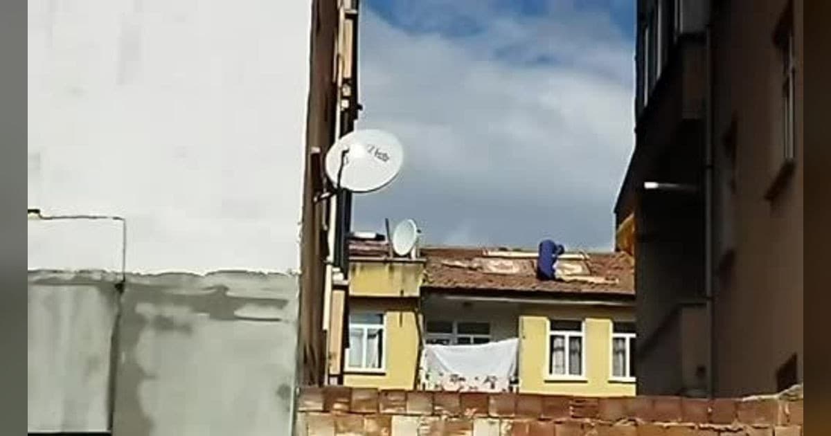 Elazığ'da Metrelerce Yüksekte Tehlikeli Halı Sergisi