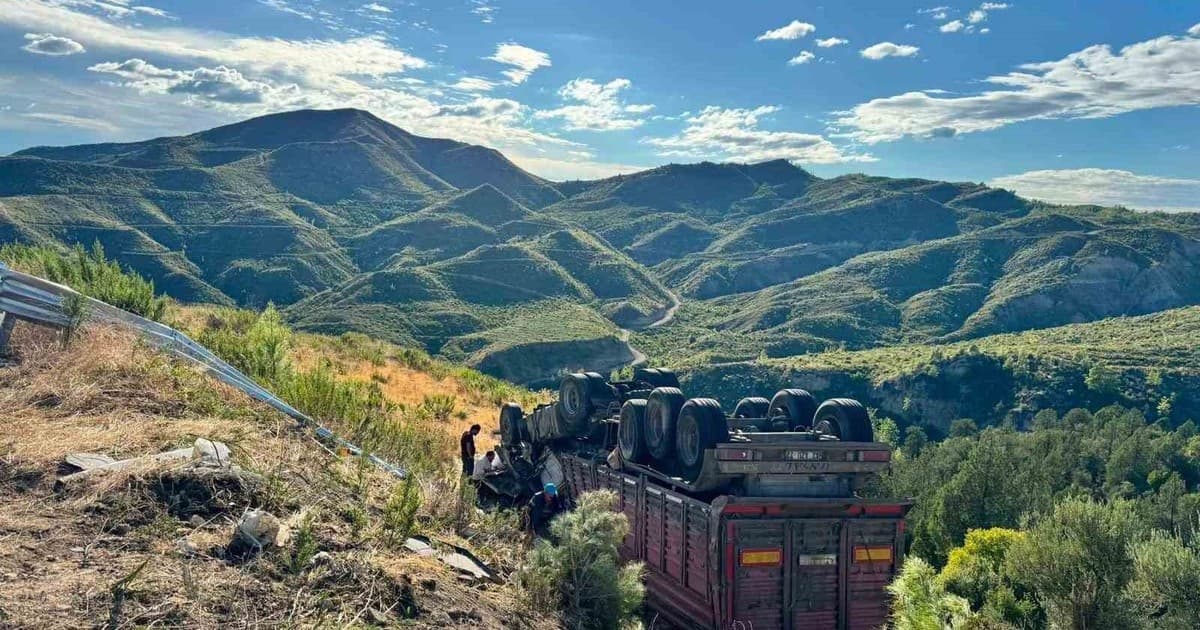 Yem yüklü tır şarampole yuvarlandı: 1 ölü