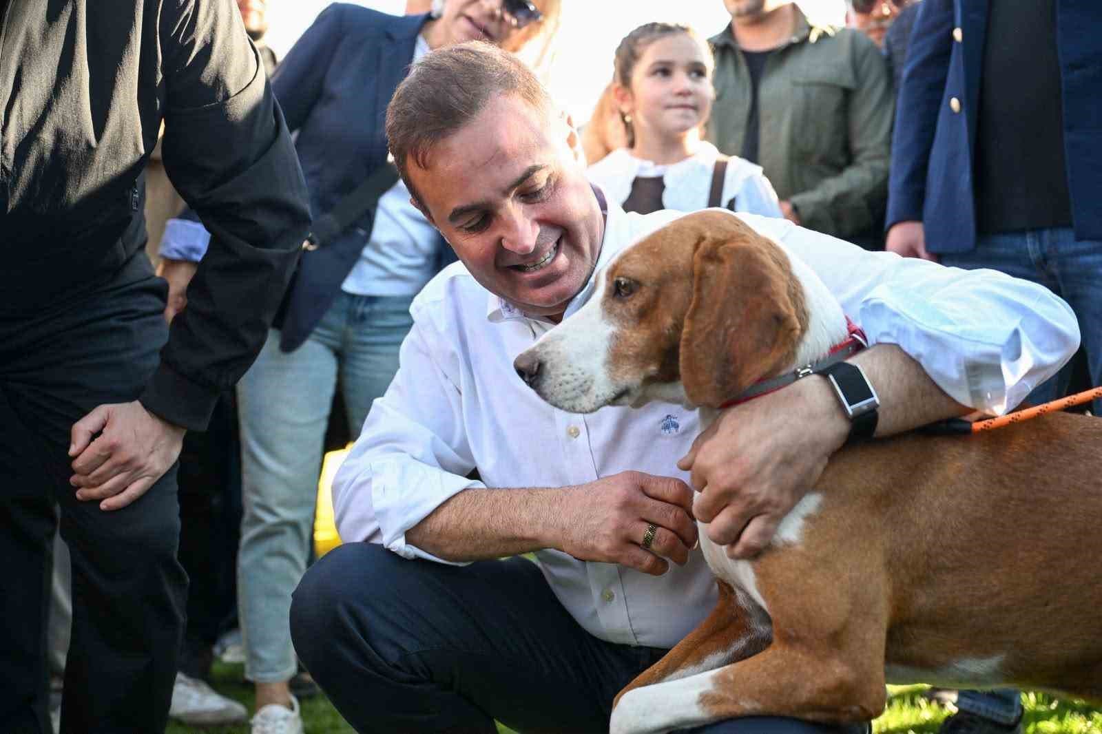 Balıkesir can dostlara sahip çıkıyor