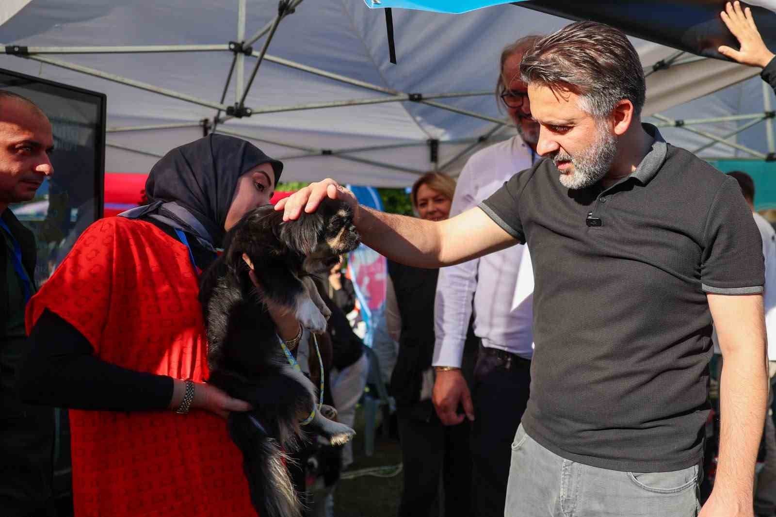 Büyükşehir’den can dostları için yuva seferberliği