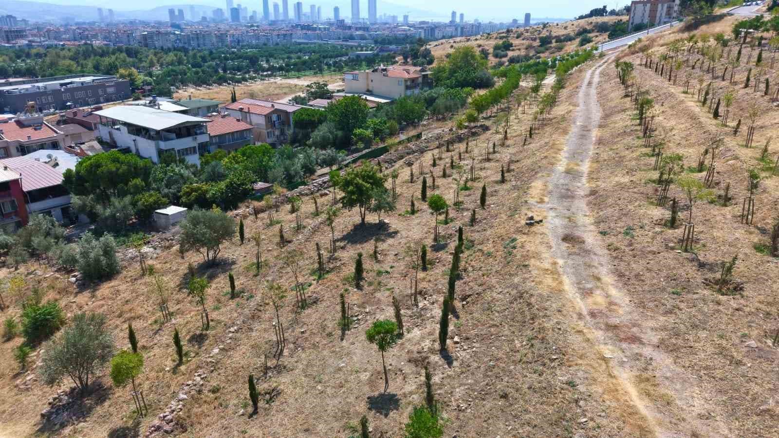 Kıraç topraklarda yeşil dönüşüm