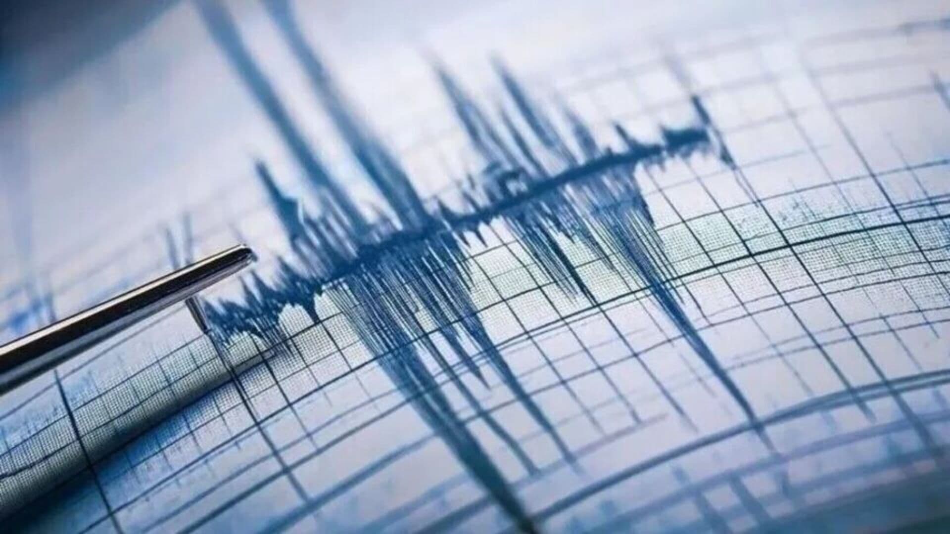 Yine deprem bülbüllerine dair...