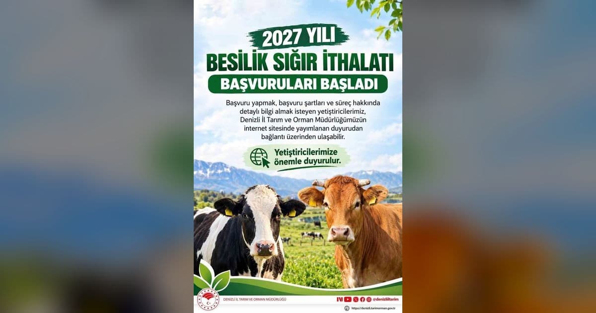 Denizli’de 2027 yılı besilik sığır ithalatı başvuruları başladı